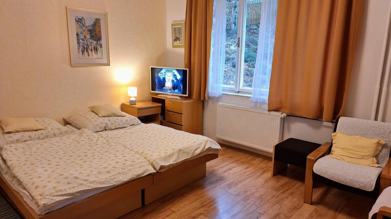 Vila Daniela Карловы Вары Экстерьер фото